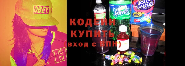 дмт Вяземский