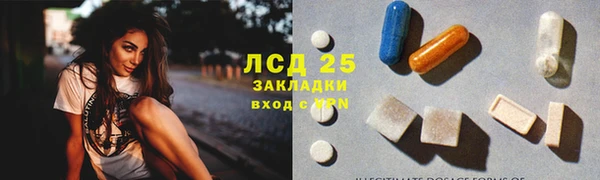 дмт Вяземский