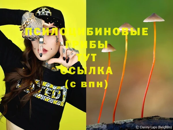 2c-b Вязники