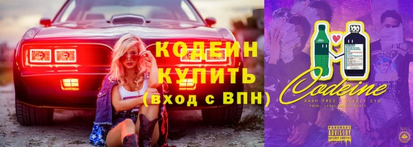 дмт Вяземский