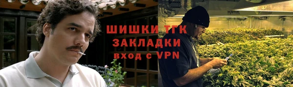 дмт Вяземский