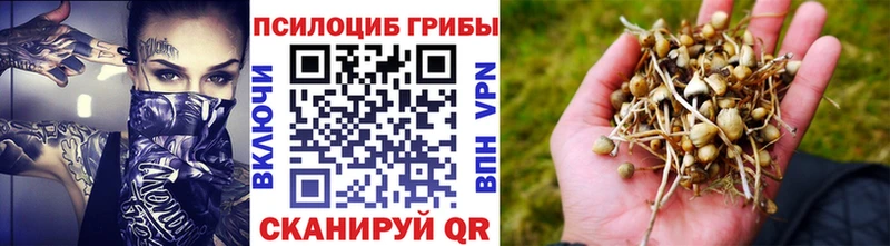 Псилоцибиновые грибы прущие грибы  наркошоп  Еманжелинск 