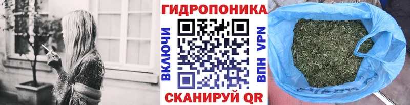 Бошки Шишки план  Еманжелинск 